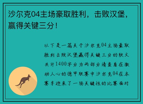 沙尔克04主场豪取胜利，击败汉堡，赢得关键三分！