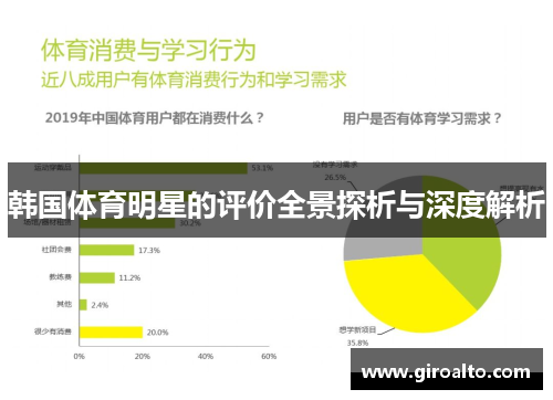韩国体育明星的评价全景探析与深度解析